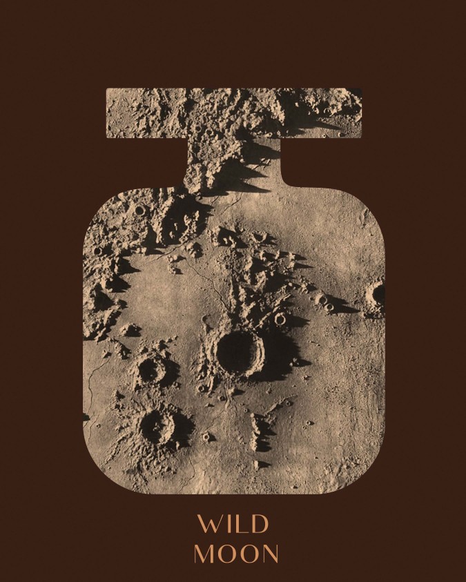02-wild-moon-home-fragrance-200-ml-bronze.jpg — miniatură