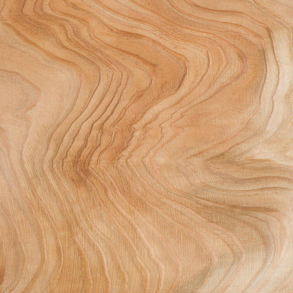 Sandalwood — imagine produs