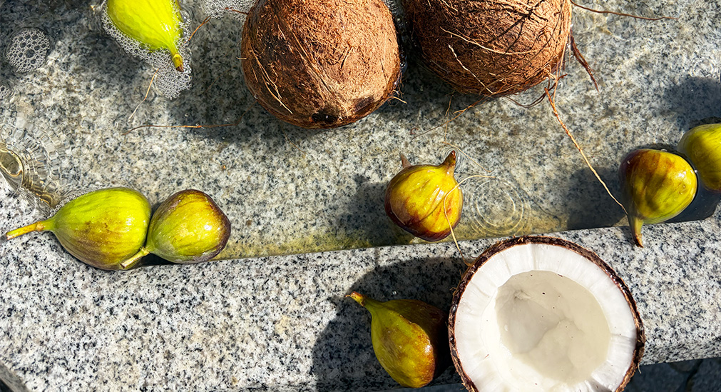 Italian Fig — imagine produs